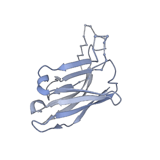 3121_5aco_H_v1-2
Cryo-EM structure of PGT128 Fab in complex with BG505 SOSIP.664 Env trimer