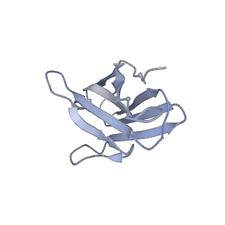 3121_5aco_J_v1-2
Cryo-EM structure of PGT128 Fab in complex with BG505 SOSIP.664 Env trimer
