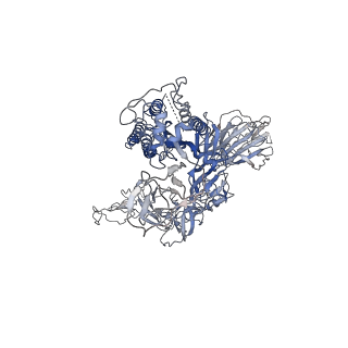9588_6acc_B_v1-2
Trypsin-cleaved and low pH-treated SARS-CoV spike glycoprotein and ACE2 complex, ACE2-free conformation with three RBD in down conformation