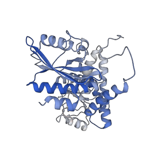 9590_6acf_A_v1-1
structure of leucine dehydrogenase from Geobacillus stearothermophilus by cryo-EM