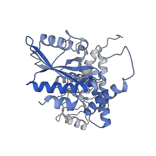 9590_6acf_A_v1-2
structure of leucine dehydrogenase from Geobacillus stearothermophilus by cryo-EM