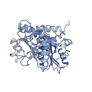 9590_6acf_B_v1-1
structure of leucine dehydrogenase from Geobacillus stearothermophilus by cryo-EM