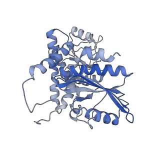 9590_6acf_E_v1-1
structure of leucine dehydrogenase from Geobacillus stearothermophilus by cryo-EM