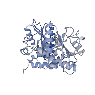 9590_6acf_F_v1-1
structure of leucine dehydrogenase from Geobacillus stearothermophilus by cryo-EM