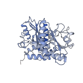 9590_6acf_F_v1-2
structure of leucine dehydrogenase from Geobacillus stearothermophilus by cryo-EM