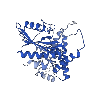9592_6ach_A_v1-1
Structure of NAD+-bound leucine dehydrogenase from Geobacillus stearothermophilus by cryo-EM