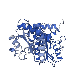 9592_6ach_B_v1-1
Structure of NAD+-bound leucine dehydrogenase from Geobacillus stearothermophilus by cryo-EM