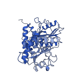 9592_6ach_D_v1-1
Structure of NAD+-bound leucine dehydrogenase from Geobacillus stearothermophilus by cryo-EM