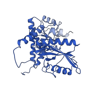 9592_6ach_E_v1-1
Structure of NAD+-bound leucine dehydrogenase from Geobacillus stearothermophilus by cryo-EM