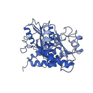 9592_6ach_F_v1-1
Structure of NAD+-bound leucine dehydrogenase from Geobacillus stearothermophilus by cryo-EM