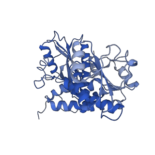 9592_6ach_F_v1-2
Structure of NAD+-bound leucine dehydrogenase from Geobacillus stearothermophilus by cryo-EM