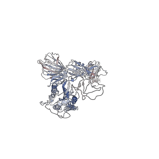 9593_6acj_C_v1-2
Trypsin-cleaved and low pH-treated SARS-CoV spike glycoprotein and ACE2 complex, ACE2-bound conformation 2
