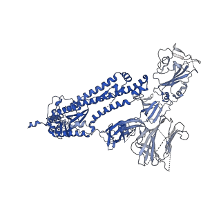 11719_7ad1_A_v1-1
Cryo-EM structure of a prefusion stabilized SARS-CoV-2 Spike (D614N, R682S, R685G, A892P, A942P and V987P)(One up trimer)