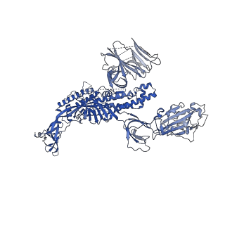 11719_7ad1_C_v1-1
Cryo-EM structure of a prefusion stabilized SARS-CoV-2 Spike (D614N, R682S, R685G, A892P, A942P and V987P)(One up trimer)