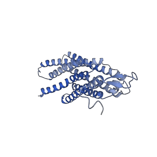 11720_7ad3_A_v1-2
Class D GPCR Ste2 dimer coupled to two G proteins