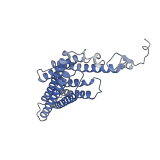 11720_7ad3_B_v1-2
Class D GPCR Ste2 dimer coupled to two G proteins
