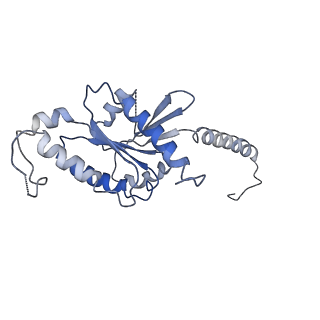 11720_7ad3_E_v1-2
Class D GPCR Ste2 dimer coupled to two G proteins