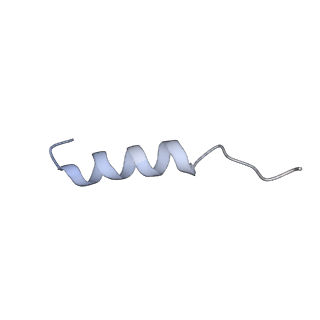 11720_7ad3_G_v1-2
Class D GPCR Ste2 dimer coupled to two G proteins