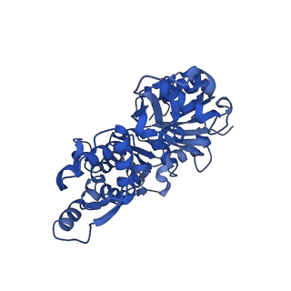 11721_7ad9_B_v1-1
Structure of the Lifeact-F-actin complex
