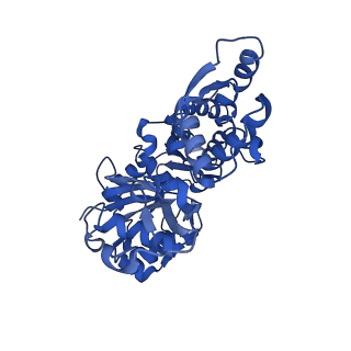 11721_7ad9_D_v1-1
Structure of the Lifeact-F-actin complex