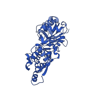 11721_7ad9_H_v1-1
Structure of the Lifeact-F-actin complex