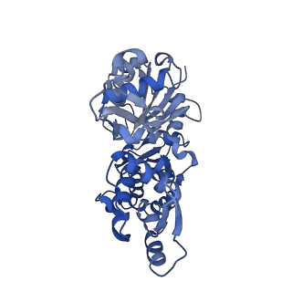 11721_7ad9_I_v1-1
Structure of the Lifeact-F-actin complex