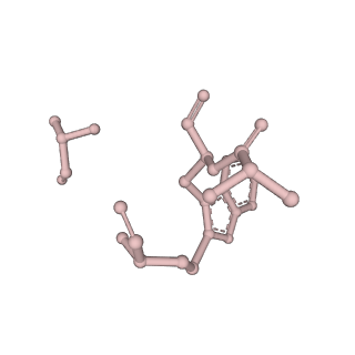 11721_7ad9_Q_v1-1
Structure of the Lifeact-F-actin complex