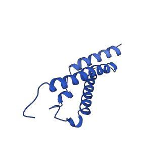 11732_7ado_F_v1-1
Cryo-EM structure of human ER membrane protein complex in lipid nanodiscs
