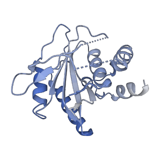 11732_7ado_H_v1-1
Cryo-EM structure of human ER membrane protein complex in lipid nanodiscs