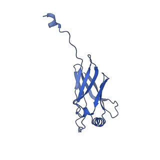 11732_7ado_I_v1-1
Cryo-EM structure of human ER membrane protein complex in lipid nanodiscs