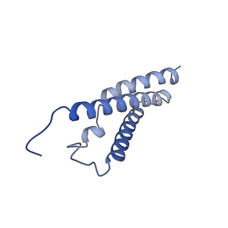 11733_7adp_F_v1-1
Cryo-EM structure of human ER membrane protein complex in GDN detergent