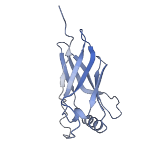 11733_7adp_I_v1-1
Cryo-EM structure of human ER membrane protein complex in GDN detergent