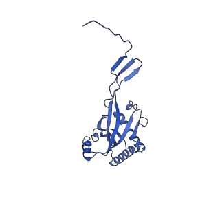 11734_7adz_0C_v1-2
Cryo-EM structure of an extracellular contractile injection system in marine bacterium Algoriphagus machipongonensis, the cap portion in extended state.