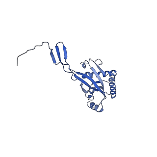 11734_7adz_0D_v1-2
Cryo-EM structure of an extracellular contractile injection system in marine bacterium Algoriphagus machipongonensis, the cap portion in extended state.