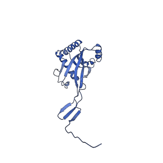11734_7adz_0F_v1-2
Cryo-EM structure of an extracellular contractile injection system in marine bacterium Algoriphagus machipongonensis, the cap portion in extended state.