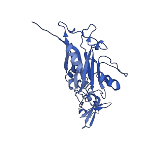 11734_7adz_1E_v1-2
Cryo-EM structure of an extracellular contractile injection system in marine bacterium Algoriphagus machipongonensis, the cap portion in extended state.