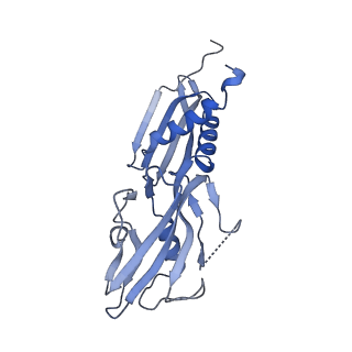 15357_8ad1_B_v1-1
RNA polymerase at U-rich pause bound to RNA putL triple mutant - pause prone, closed clamp state