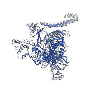 15357_8ad1_C_v1-1
RNA polymerase at U-rich pause bound to RNA putL triple mutant - pause prone, closed clamp state