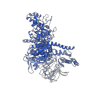 15357_8ad1_D_v1-1
RNA polymerase at U-rich pause bound to RNA putL triple mutant - pause prone, closed clamp state