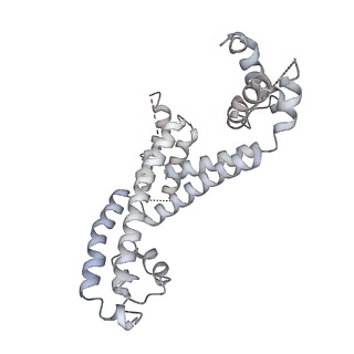 15357_8ad1_F_v1-1
RNA polymerase at U-rich pause bound to RNA putL triple mutant - pause prone, closed clamp state