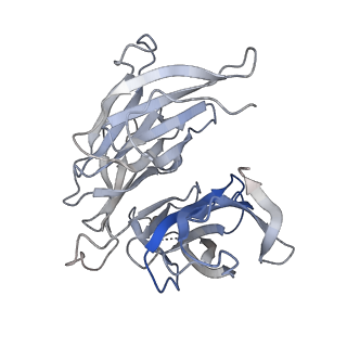15364_8adl_F_v1-4
Cryo-EM structure of the SEA complex