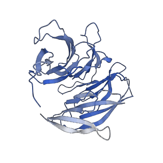 15364_8adl_L_v1-4
Cryo-EM structure of the SEA complex