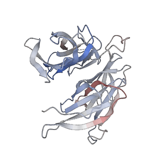 15364_8adl_N_v1-4
Cryo-EM structure of the SEA complex