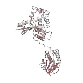15364_8adl_S_v1-4
Cryo-EM structure of the SEA complex