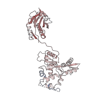 15364_8adl_T_v1-4
Cryo-EM structure of the SEA complex