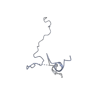 15365_8adn_3_v1-1
Vairimorpha necatrix 20S proteasome from spores