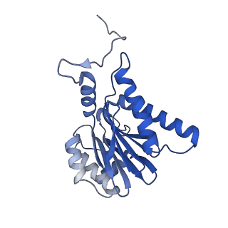 15365_8adn_A_v1-0
Vairimorpha necatrix 20S proteasome from spores