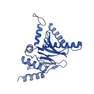 15365_8adn_B_v1-0
Vairimorpha necatrix 20S proteasome from spores