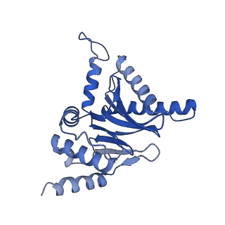 15365_8adn_B_v1-1
Vairimorpha necatrix 20S proteasome from spores