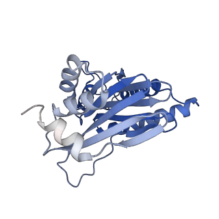 15365_8adn_C_v1-0
Vairimorpha necatrix 20S proteasome from spores